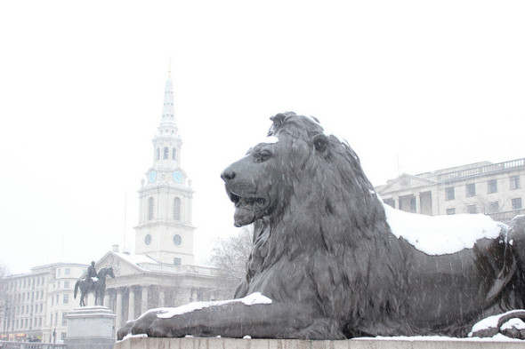 Lion statue in Trafalgar Square