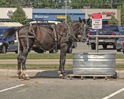 Silent Sunday 7 horse and buggy reserved parking