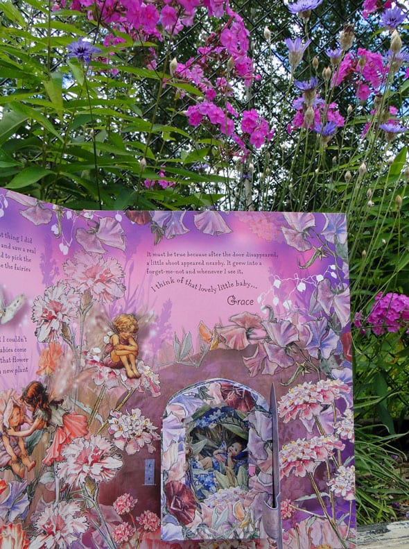 sweet pea fairies in real flower garden