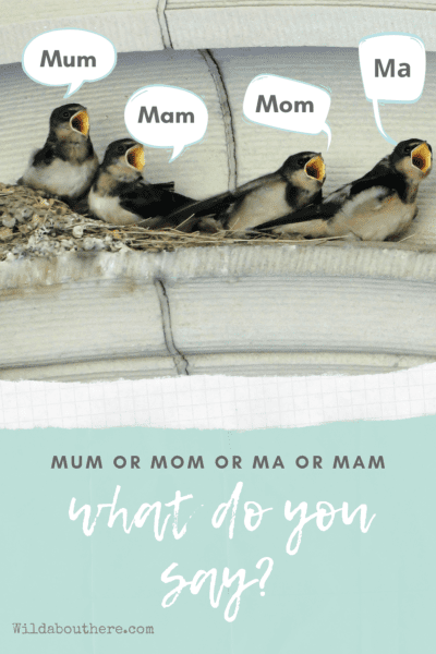 EMME MAMAS: A Talk About Everyday Moms