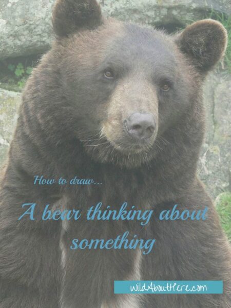 How to draw a bear thinking