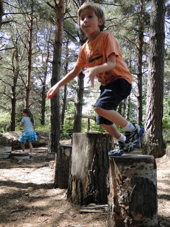 Forest Playground Adirondacks