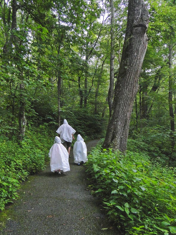 Ghosts in the mist on trail off the blue ridge parkway