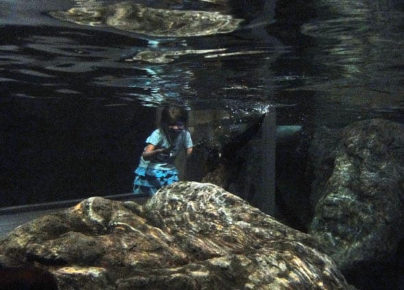 luce and otter at wild center in adirondacks