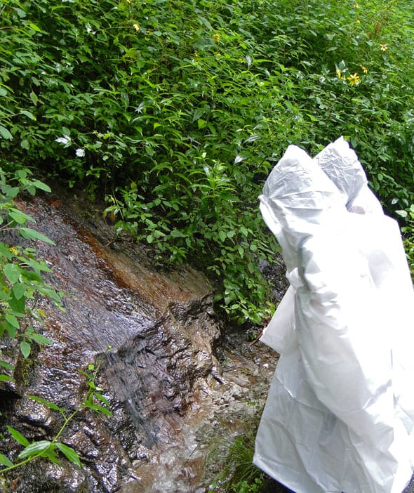 searching for gemstones on the Blue Ridge Parkway