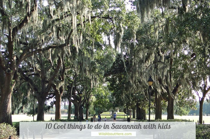 What to do with kids in Savannah Georgia