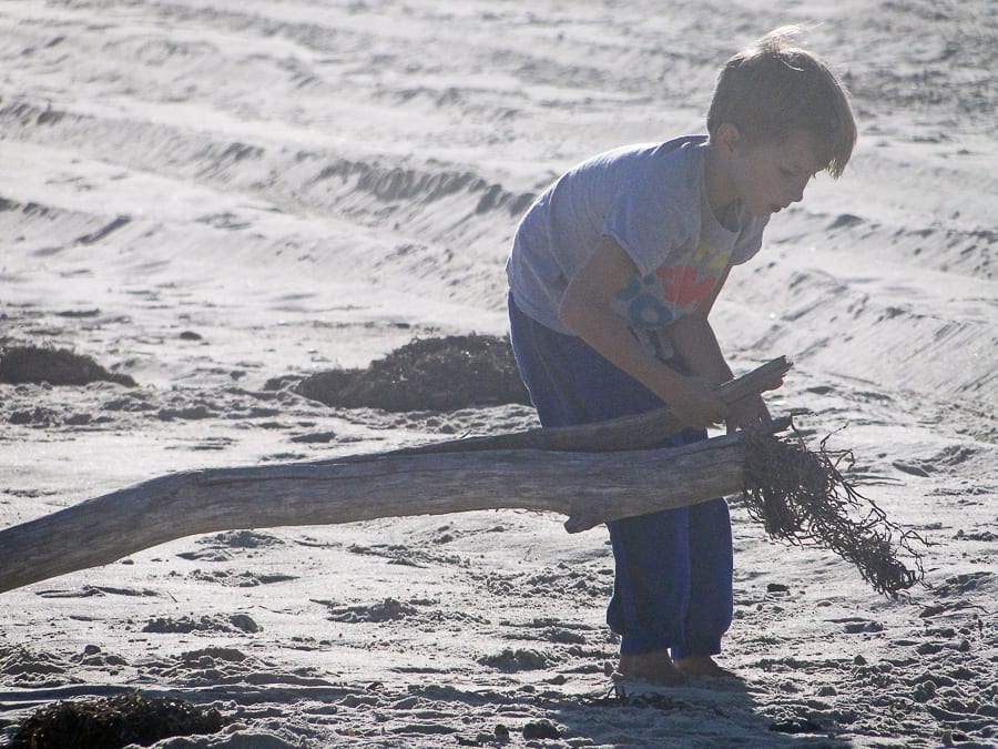 beach walk with kids collecting driftwood