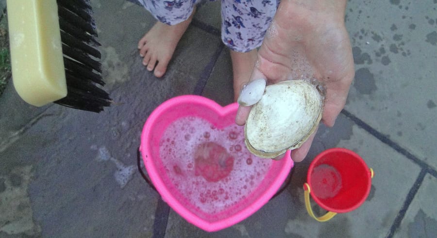 beach walk with kids shell washing