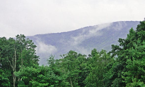 Blue Ridge Parkway view