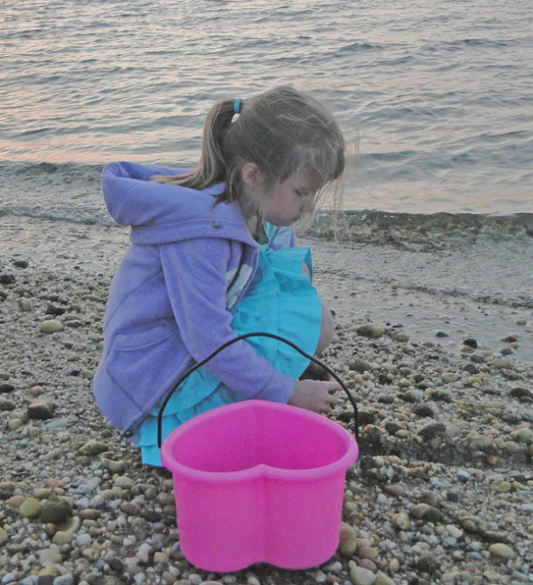 collecting shells and rocks