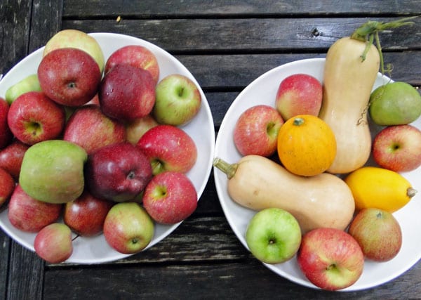 bowls apples squash