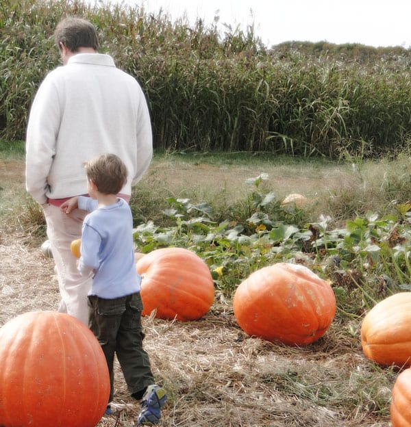 pumpkin patch