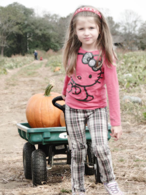 pumpkins cart