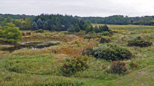 walk nature reserve