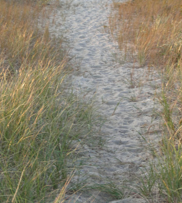 Sunset on beach path