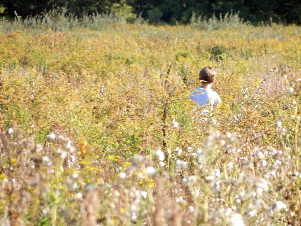 walking through field