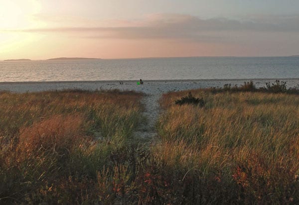 sunset beach dune