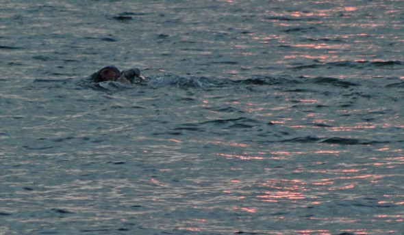 Swimmer in winter beach at sunset