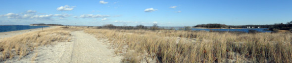 Beach and wetlands Morton National Wildlife Refuge