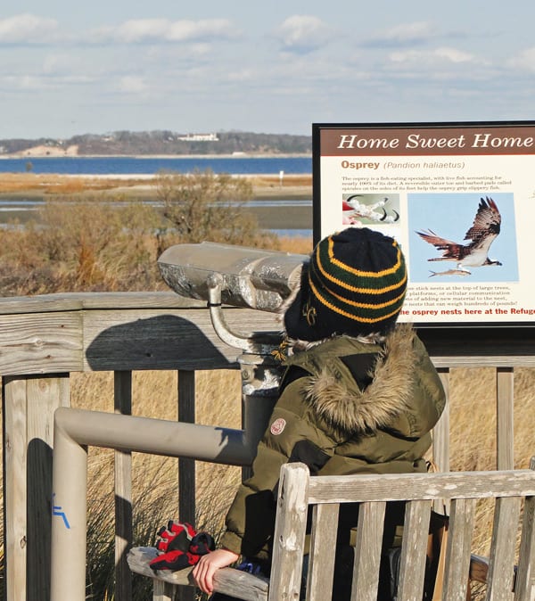 viewing binoculars