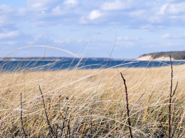 view Jessups Neck Peninsula