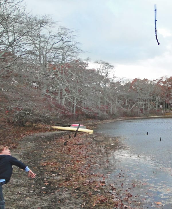 throwing stick