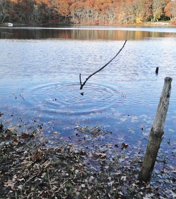 stick landing water