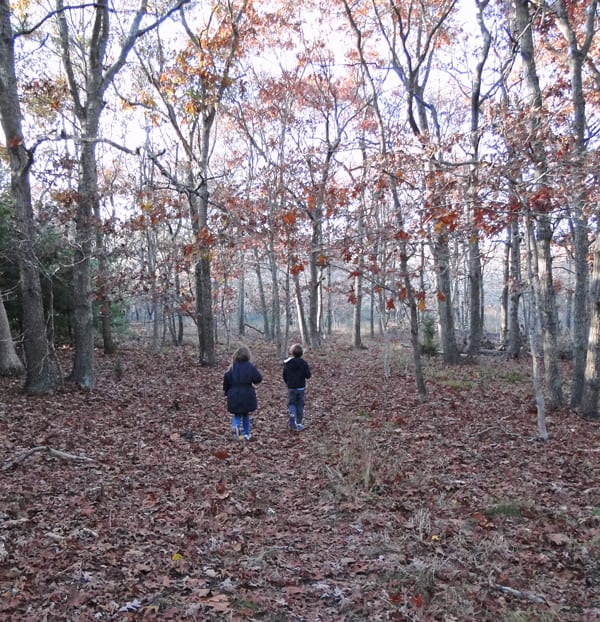 walking through woods