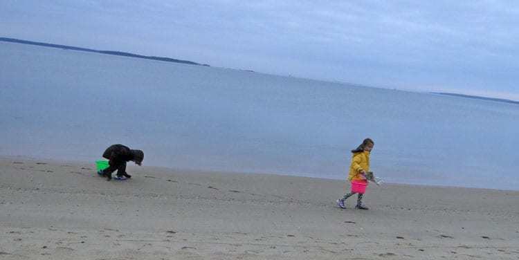 beachcombing