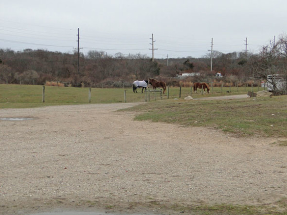 pothole road horses field