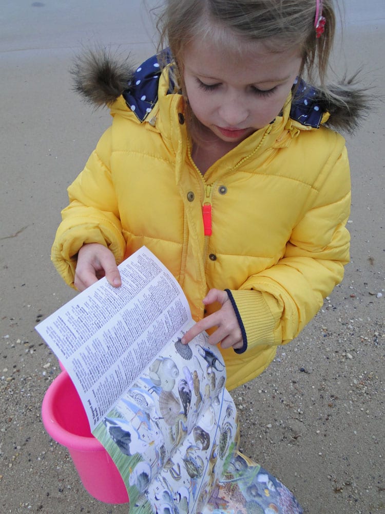 beachcombing guide