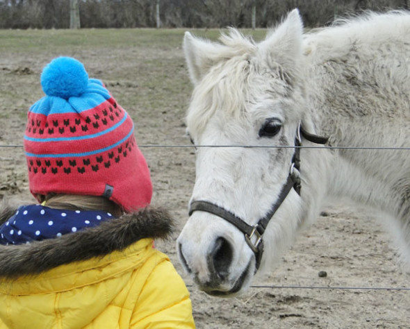 luce pony ride