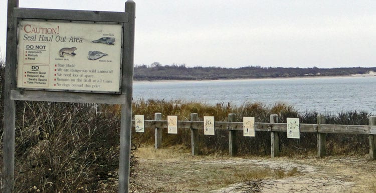 seal haul out area sign montauk