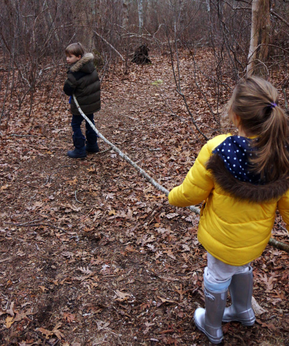 carrying branch end swamp walk