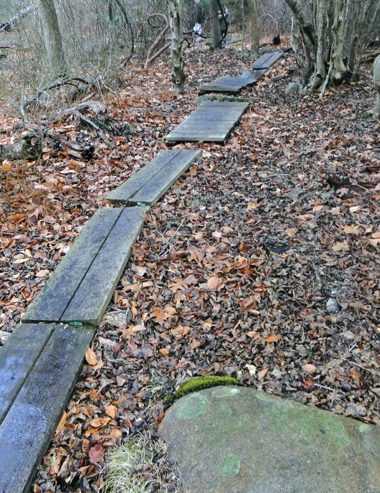 wood path Montauk Point State Park