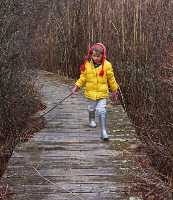 swamp walk with stick