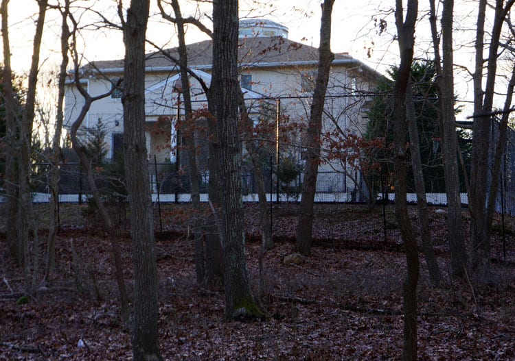 mansion in the woods