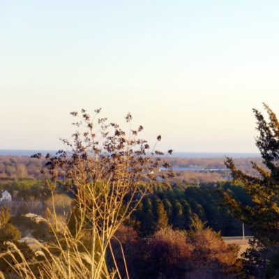 mecox bay view