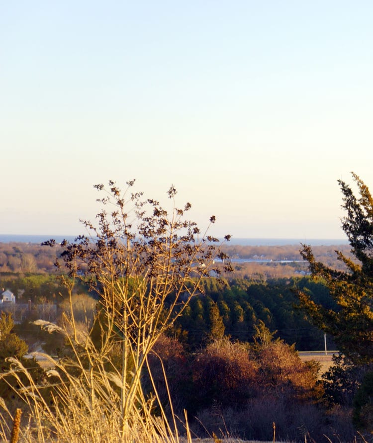 mecox bay view