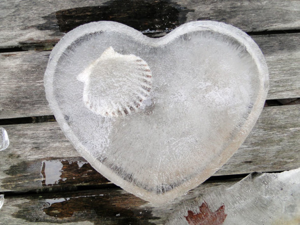 Shell frozen in heart shaped ice project 365
