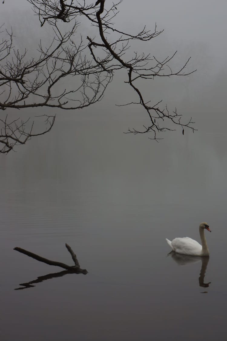 swan mist otter pond sag harbor