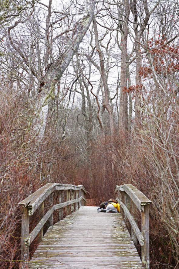 boardwalk bridge through swamp