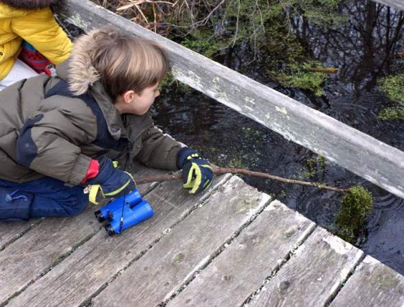 stick swamp walk