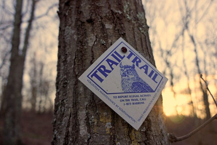 trail marker kids walk hamptons off season