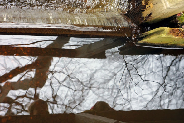 reflections weir swamp