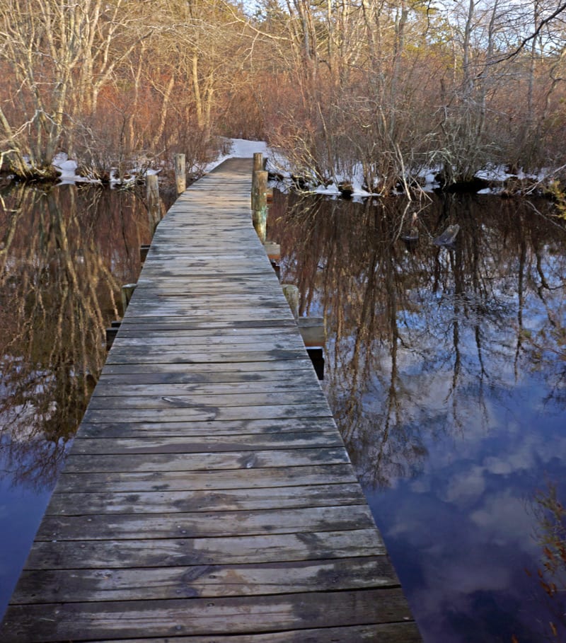 quogue wildlife refuge