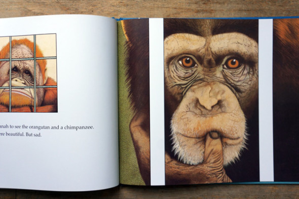 chimpanzee illustrated anthony browne
