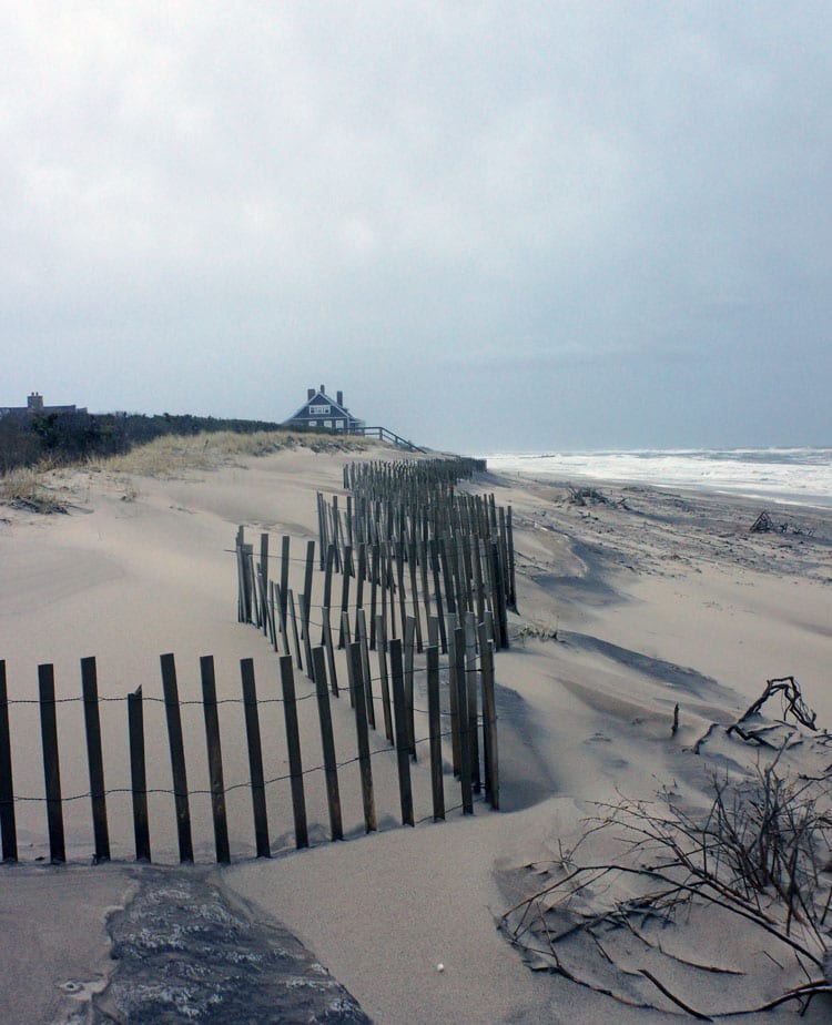 beach scene fence