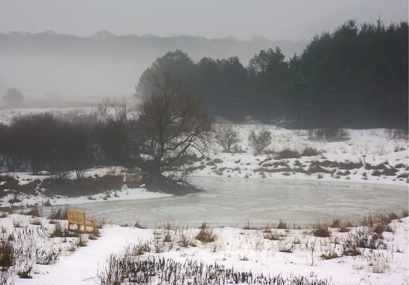 Hamptons NY Sofo pond mist