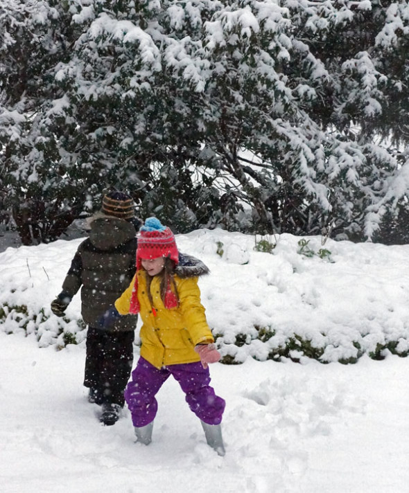 playing in snow